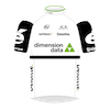 Dimension Data